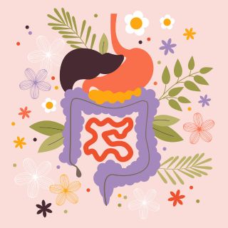 Stärkt Ihre Abwehrkräfte